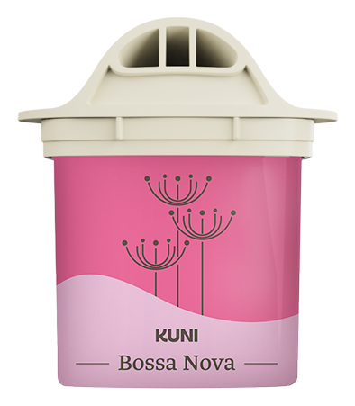 Bossa Nova 