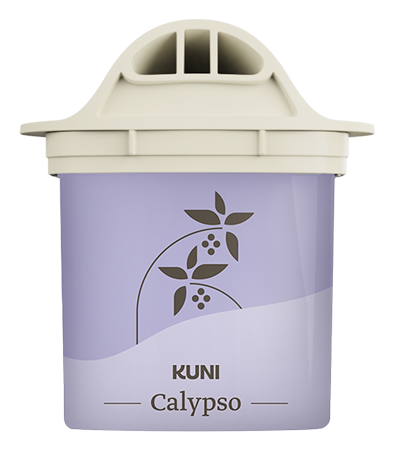 Calypso