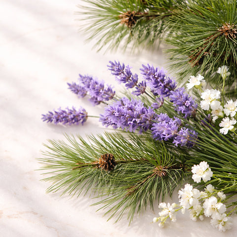 Desert Cedar
